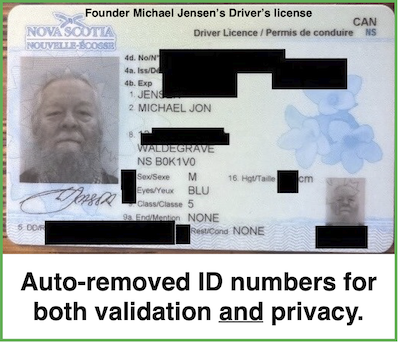 Auto-Redacted Driver's License sample